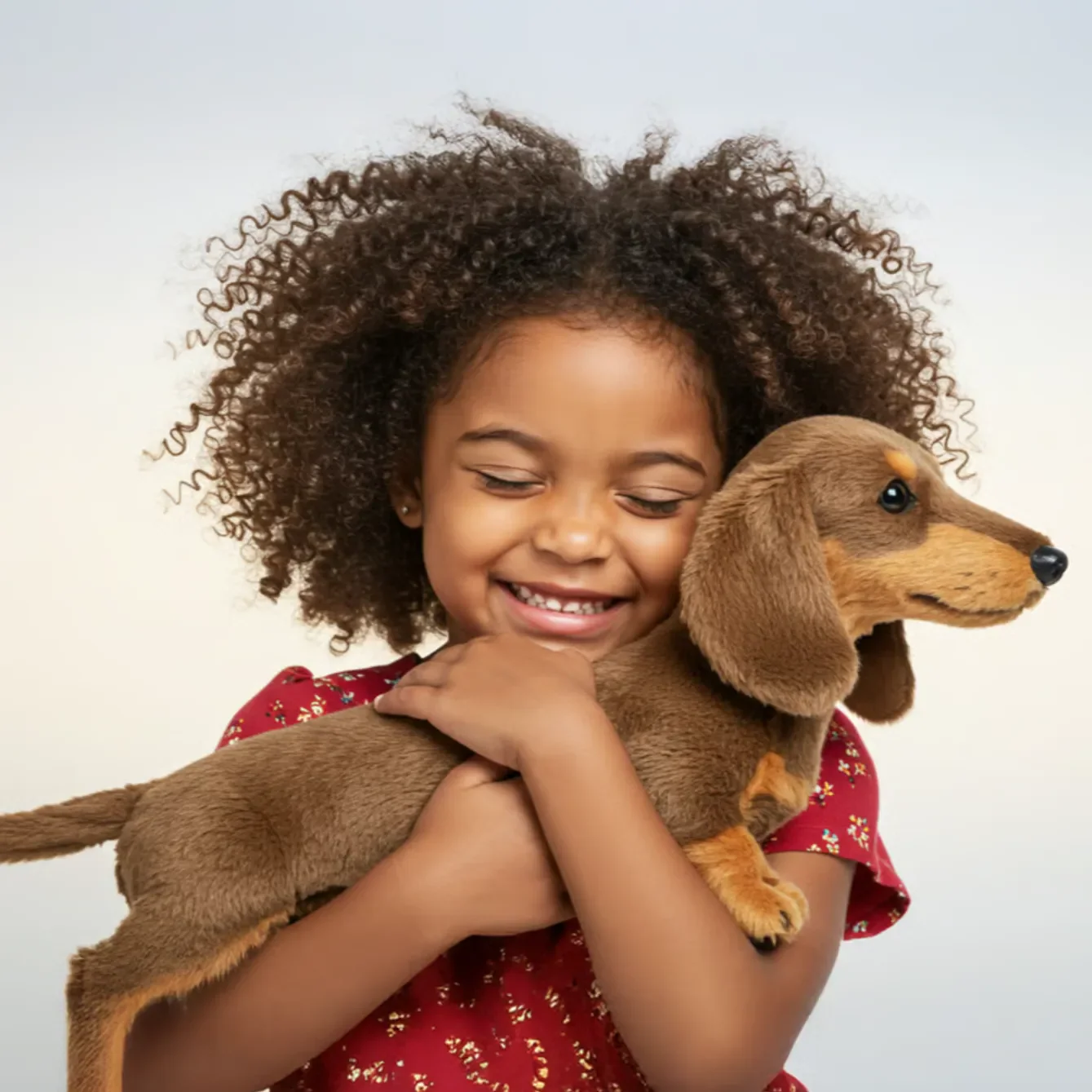 🐶 The Dachys – Emotionale Heilung auf Abruf